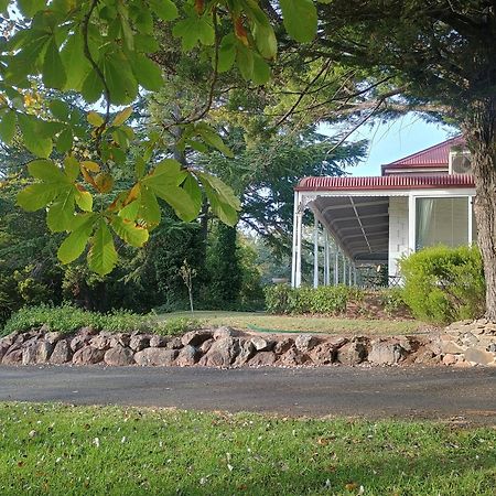 Moore Park Inn อาร์มีเดล ภายนอก รูปภาพ