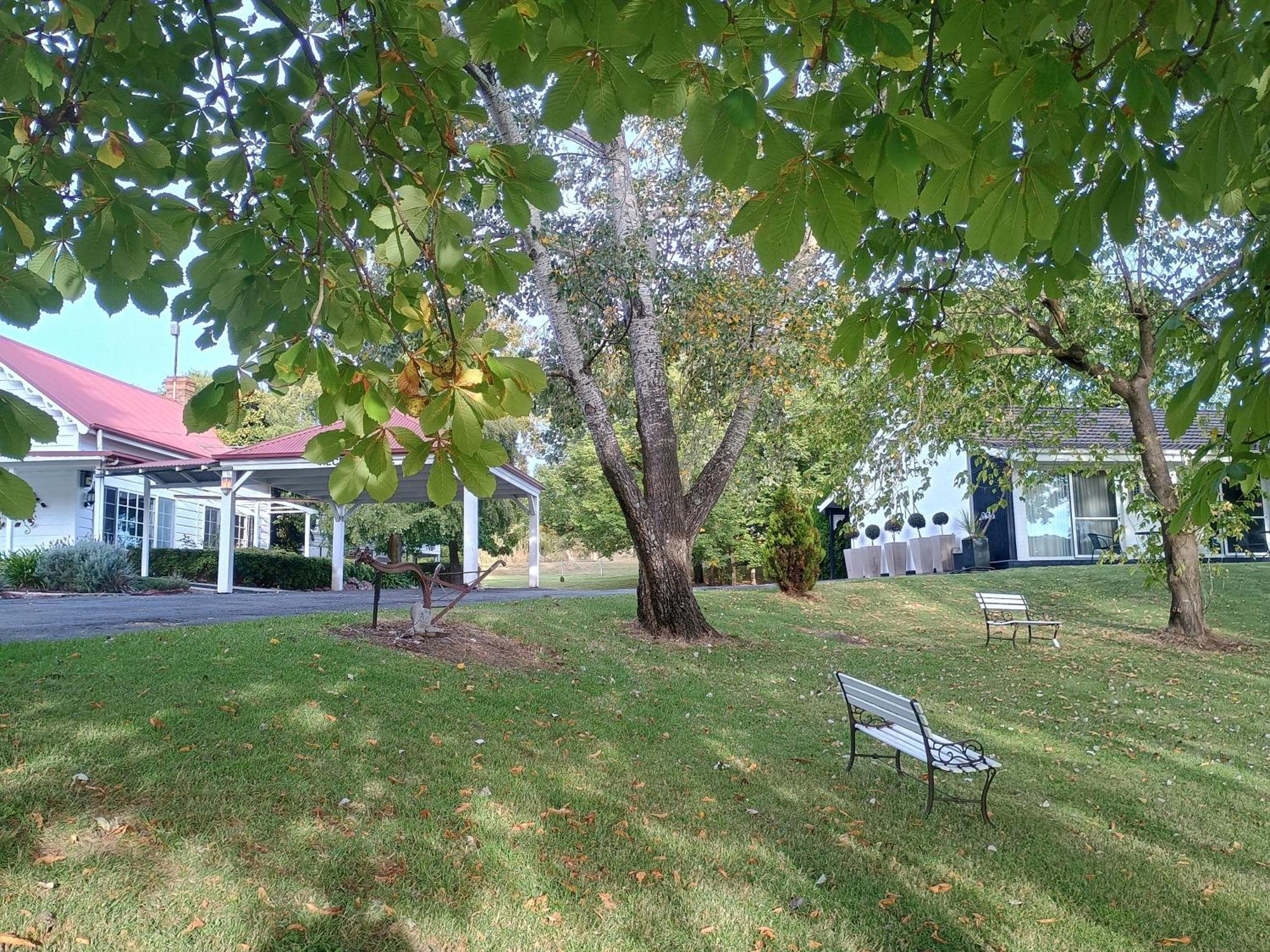 Moore Park Inn อาร์มีเดล ภายนอก รูปภาพ