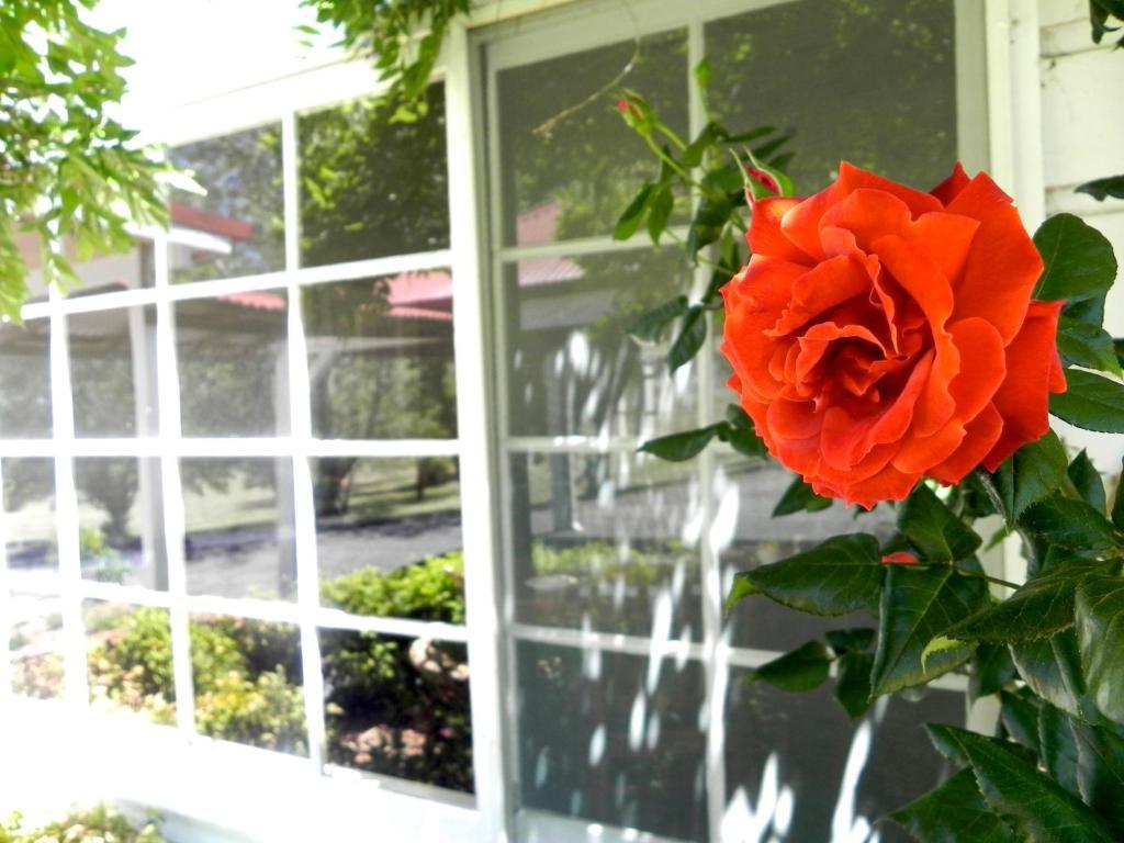 Moore Park Inn อาร์มีเดล ภายนอก รูปภาพ