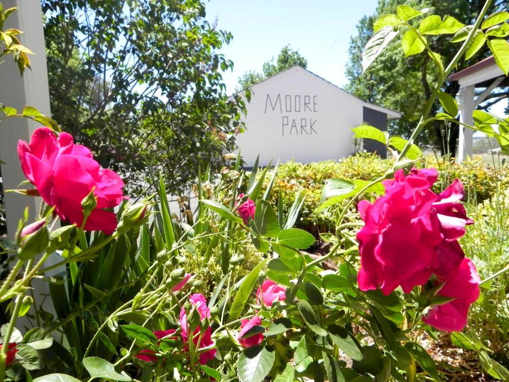 Moore Park Inn อาร์มีเดล ภายนอก รูปภาพ